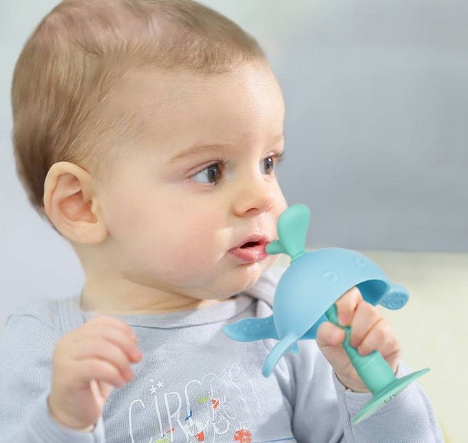 Baby Teething Toy